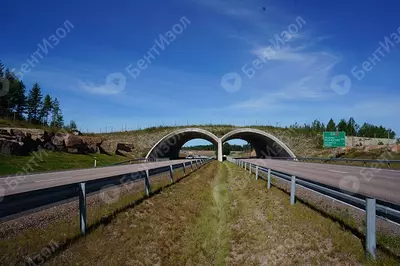 Бентонитовый мат Bentizol - Цена по запросу