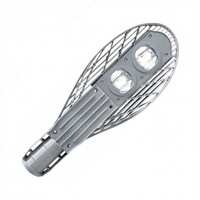 Светильник уличный светодиодный консольный типа РКУ