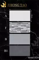 ZHONG TAO 8201 30x60 sm keramika plitkasi