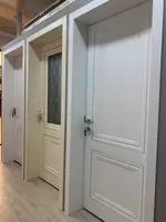 OOO Stroy Expo - Межкомнатные МДФ двери из России