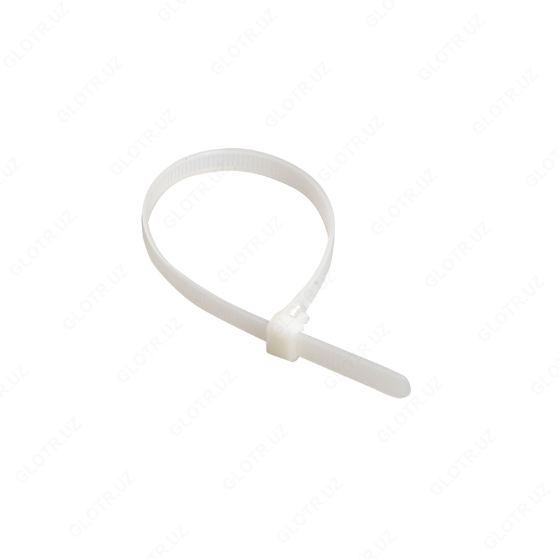  2 5x250 mm neylon qisqichi (100 dona) IEK - 