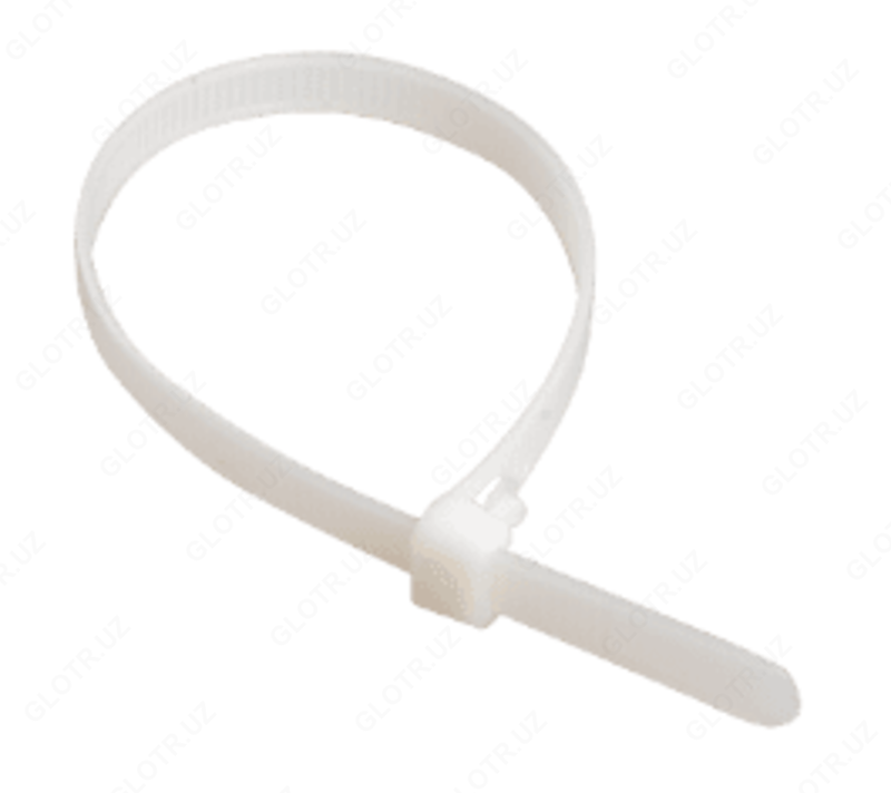 5х100мм нейлон (100шт) ИЭК