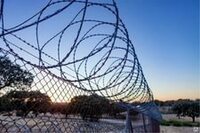 Колючая проволока СББ АКЛ ЕГОЗА монтаж Только в розницу