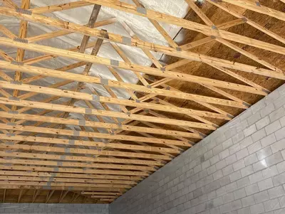 Pena sepish xizmati PPU