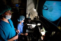 ЭКО в Индии