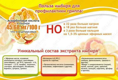 Экстракт Имбиря с мёдом саше пак. №10 Только в розницу