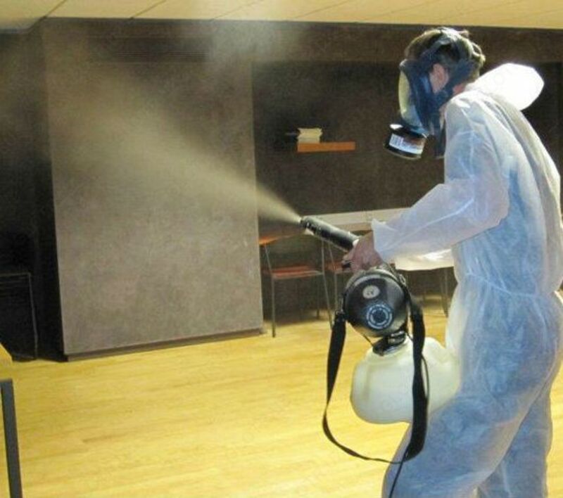 Дезинсекция помещений