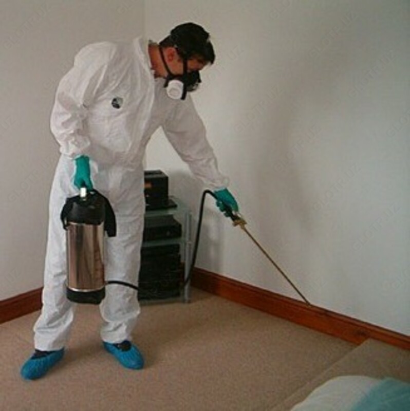  Дезинсекция помещений - 