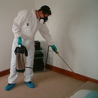  Услуга по дератизации - 