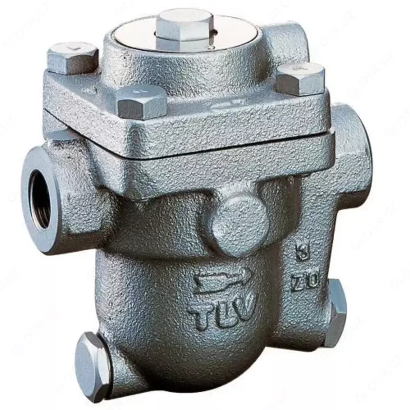 MAX VALVE bug tutqich