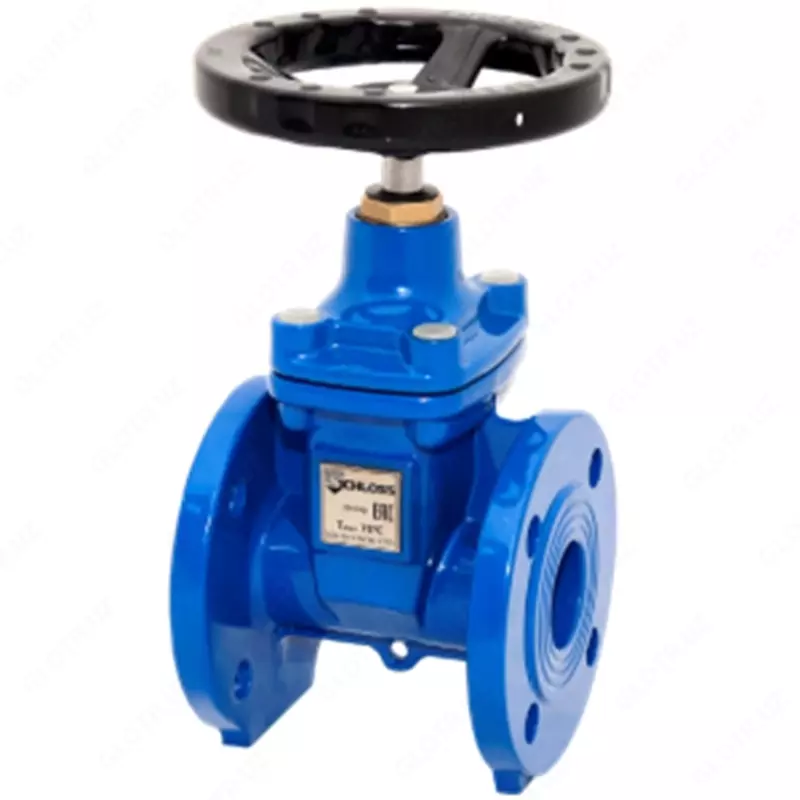 Quyma temir klapan 30ch39r Du250 Ru16