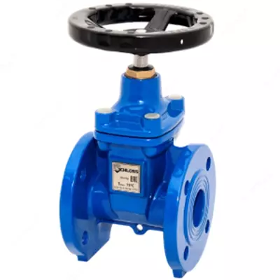 Quyma temir klapan 30ch39r Du300 Ru16