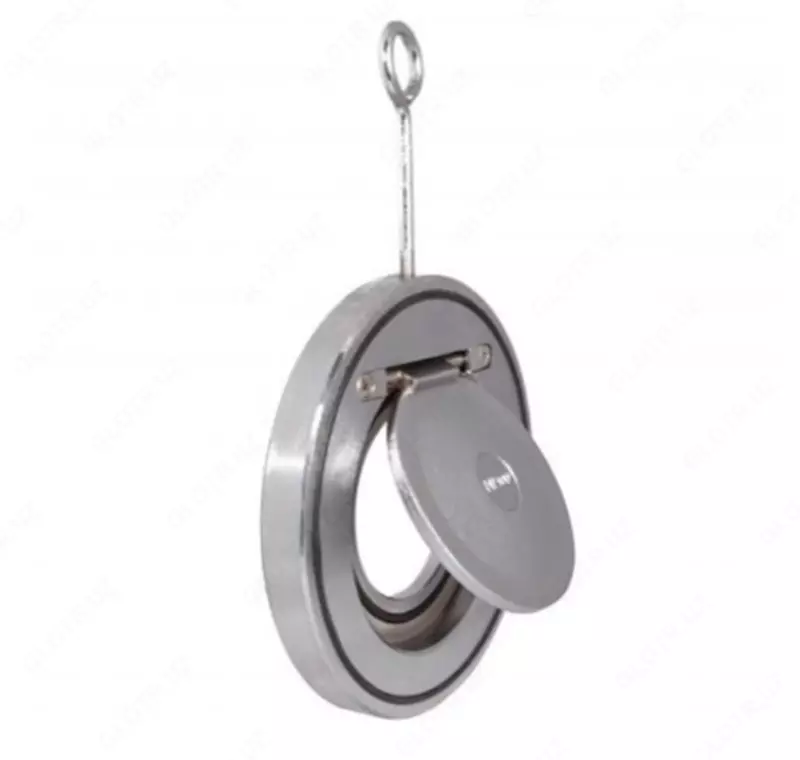 Yupqa nazorat valfi DN80 PN16