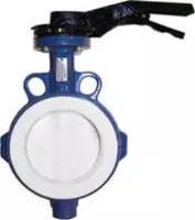 Затвор Тип F & H  PTFE  DN100 PN16