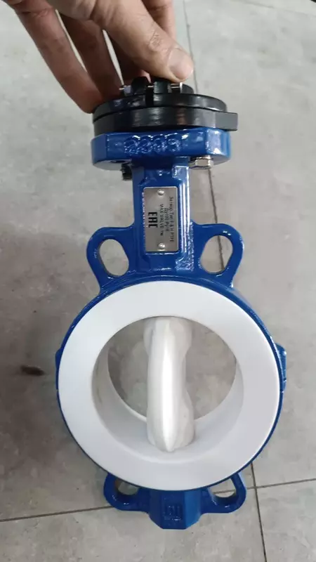 Затвор Тип F & H PTFE DN50 PN16