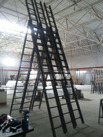 Лесница пожарная TRIPLE 316 - от {0} сум