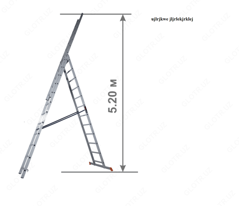 Лесница пожарная TRIPLE 312