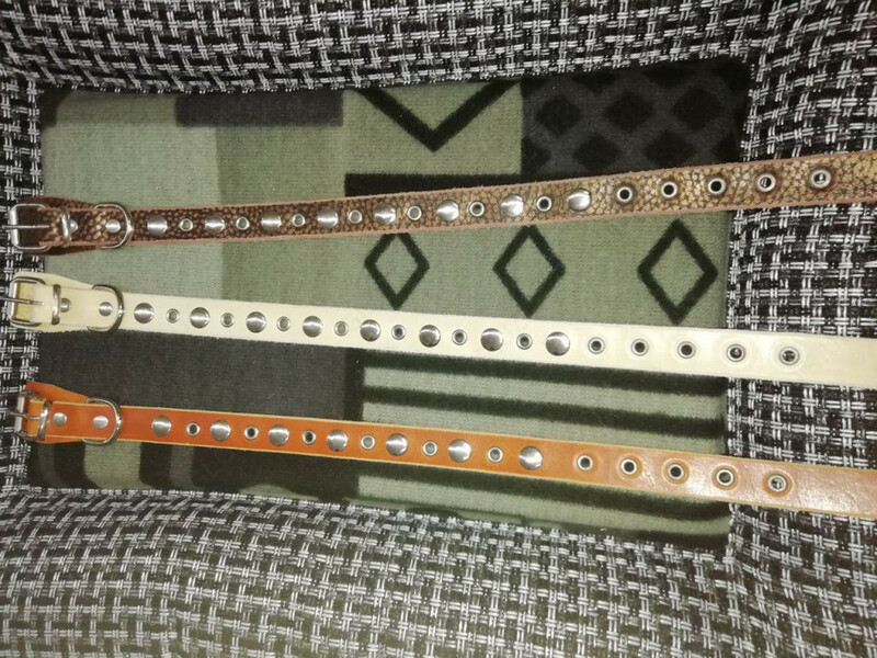 Качественные ошейники - от 119 123.8 сум