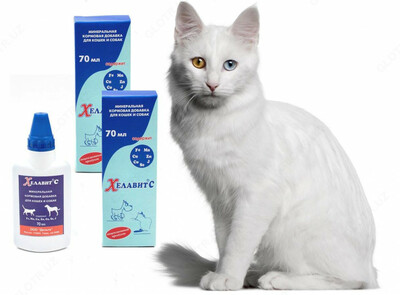 Хелавит С. - 119 851 so'm / donadan