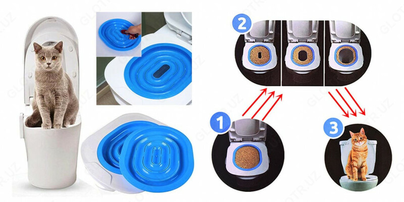 Приспособление для приучения котиков к унитазу.