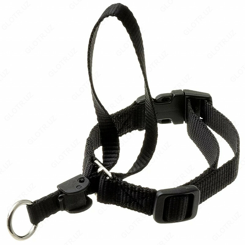 Недоуздок для собак