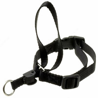 Недоуздок для собак