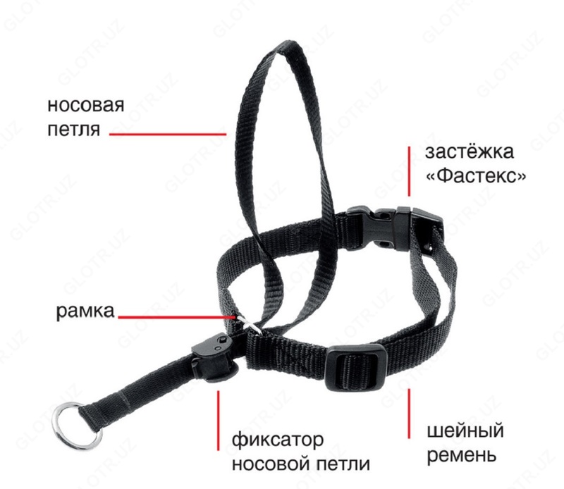 Недоуздок для собак - от 119 632.3 сум