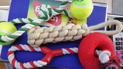 Мягкие игрушки для питомцев Только в розницу