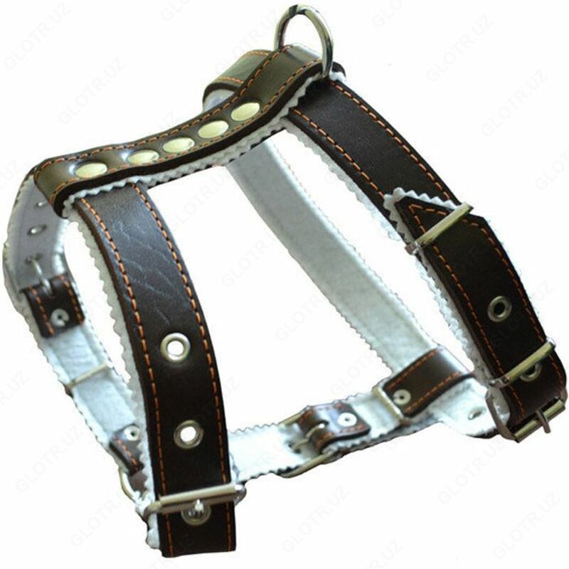 Нагрудники для собак