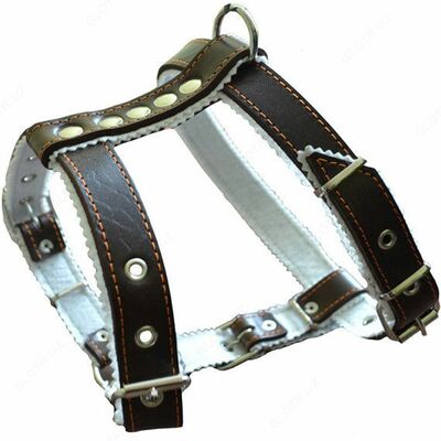 Нагрудники для собак