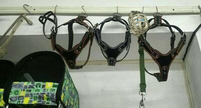 от 119 123.8 сум / шт. Нагрудники для собак