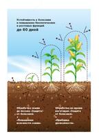   Биодукс (Biodux)  регулятор роста растений 10 мл Норма расхода 1-5 мл/га