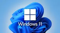 Операционная система Microsoft Windows 11 Professional - по запросу