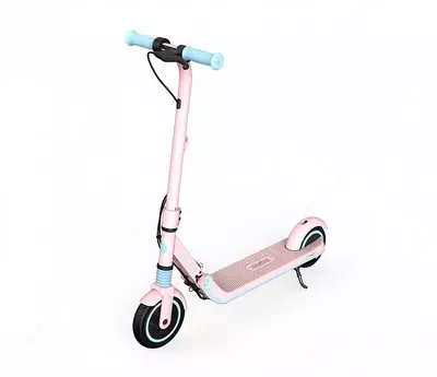 Cамокат электрический детский NINEBOT E8 Только в розницу