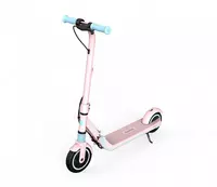 Cамокат электрический детский NINEBOT E8 Только в розницу