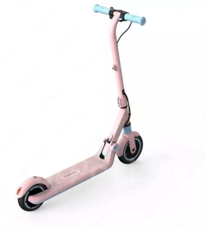 Cамокат электрический детский NINEBOT E8