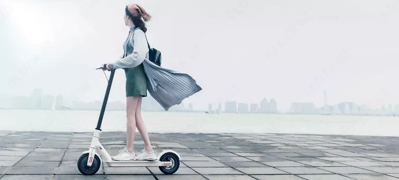 Самокат электрический TopGear до 100кг