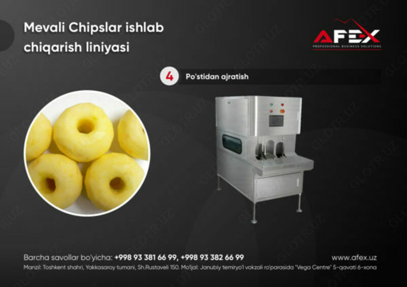 Линия по производству фруктовых чипсов AF-L001 - 1 309 973 685 сум