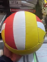 Мяч волейбольный