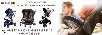 Прогулочная коляска Belecoo