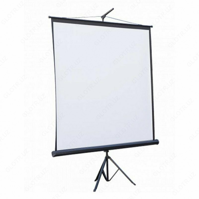 Экран проекционный - TRM-NTSC-100D
