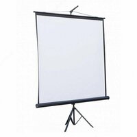 Экран проекционный - TRM-NTSC-120D