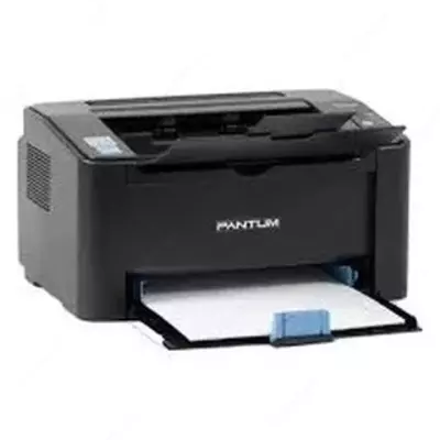 Принтер Pantum 2503 арт P2503