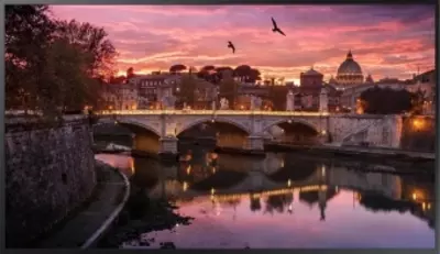 Professional qm65b displeyi LH65QMBEBGCXCI