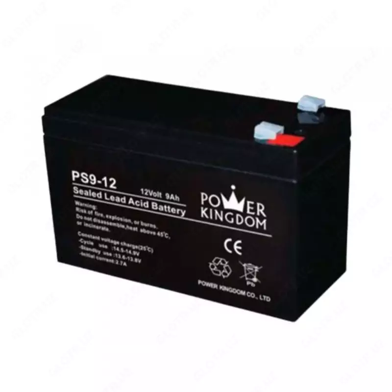 Аккумулятор Power Kingdom для ИБП 12V/9Ah