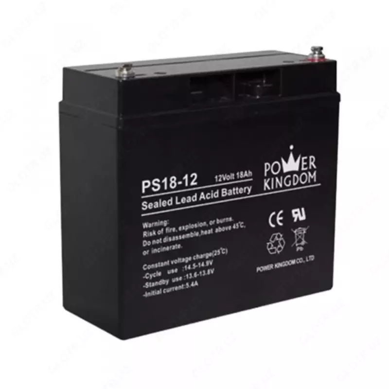 Аккумулятор Power Kingdom для ИБП 12V/18Ah