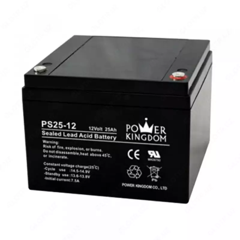 Аккумулятор Power Kingdom для ИБП 12V/25Ah