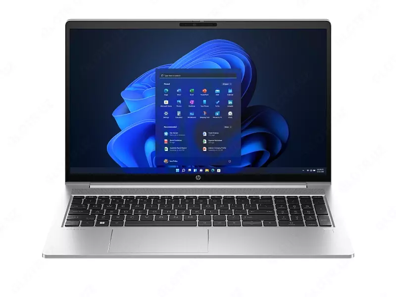 Ноутбук HP ProBook 450 G10 15,6" (AK9S4AT)
