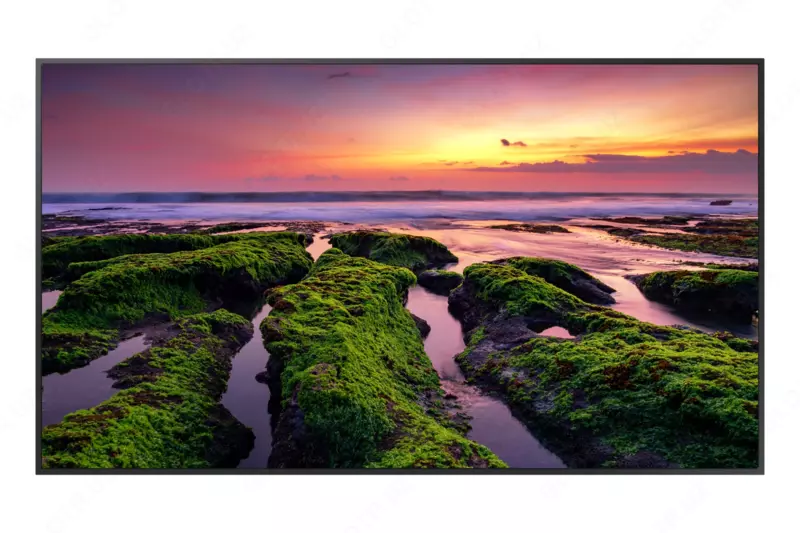 Samsung 65QB65B LH65QBBEBGCXCI — professional дисплей.