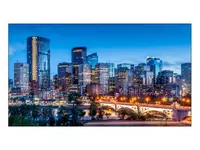 Samsung 55 LH55VMBEBGBXCI — professional video devor displeyi.